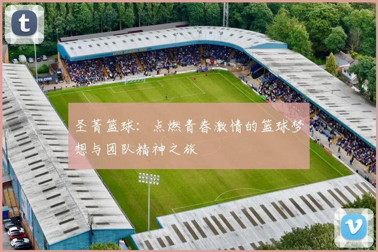 圣菁篮球：点燃青春激情的篮球梦想与团队精神之旅