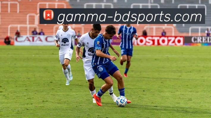 半岛体育全站App